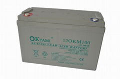 合资品牌OKYAMI 免维护铅酸蓄电池 12OKM100 (12V100AH)