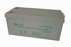 中外合資品牌OKYAMI 12OKM200(12V200AH)鉛酸蓄電池 