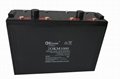 合资品牌OKYAMI 2OKM1000(2V1000AH)铅酸蓄电池  1