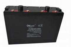 合資品牌OKYAMI 2OKM1000(2V1000AH)鉛