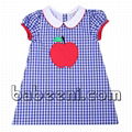 Lovely apple applique A-line dress 1