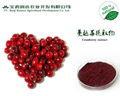 Cranberry extract