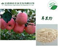 Apple powder