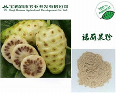 Noni fruit powder