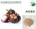 Mangosteen fruit powder 1