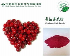 Cranberry powder