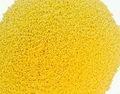 yellow millet 1