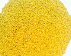 yellow millet