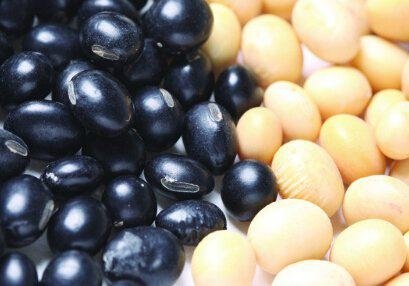 black bean with white kernels