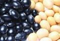 black bean with white kernels