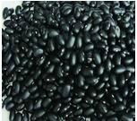 black bean