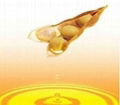 soybean oil 1