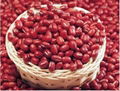 red kidney bean  1