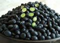 black bean with green kernels