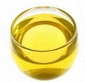 Crude / Refined Raseseed oil 1