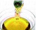 Crude / Refined Raseseed oil 2