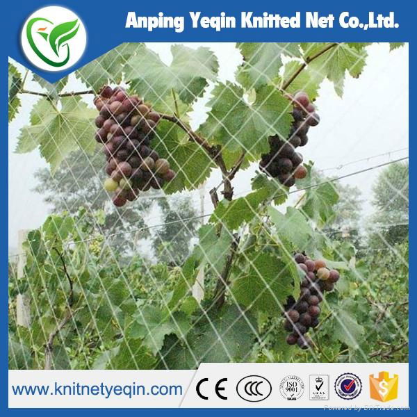 100% virgin material white knitted anti bird netting factory 2