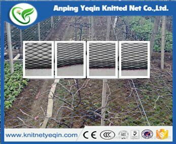 100% virgin material white knitted anti bird netting factory 4