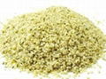 Hemp Seeds for Sale