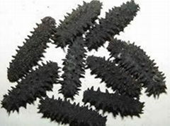 Dried Sea Cucumber 