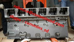 cylinder block for K19, 3088303