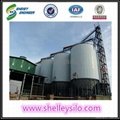 unloading lipp square steel silos of sawdust 3