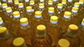High Quality 100% Refined Sunflower Oil  2