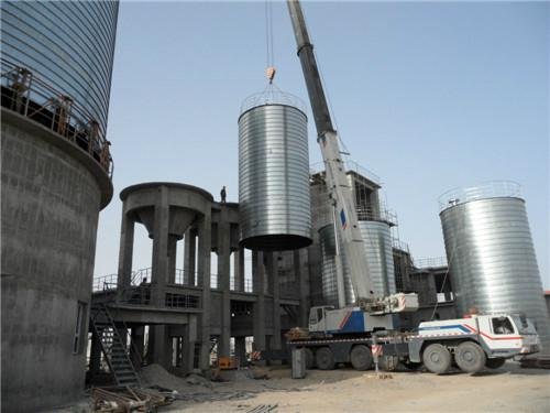 Industry powder storage silo 5