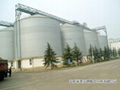 Grain Silo 3