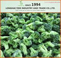 LONGHAI YIDEIQF broccoli Frozen broccoli 