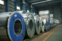 HDGI Hot Dipped Galvanized Steel Coils /