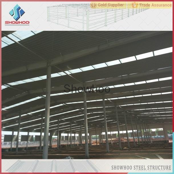 Professional prefabricated light steel structure shed design building for sale 4