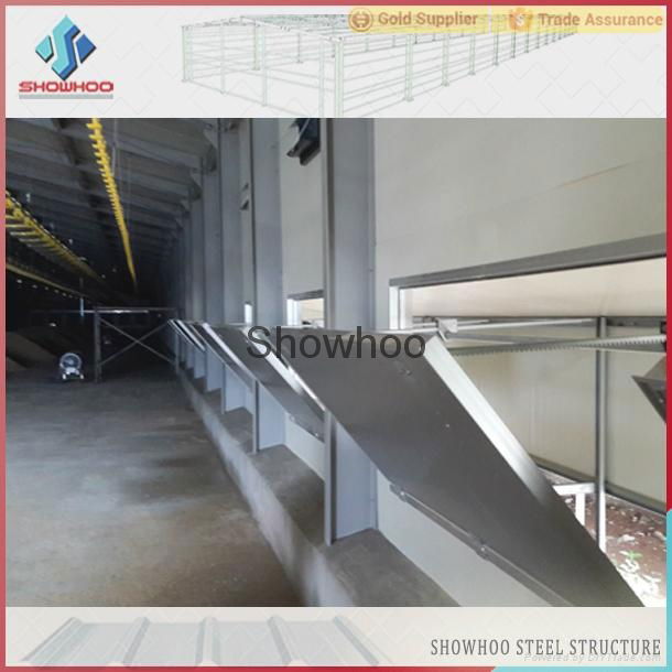 China different types of steel structure poultry house for chicken house 3