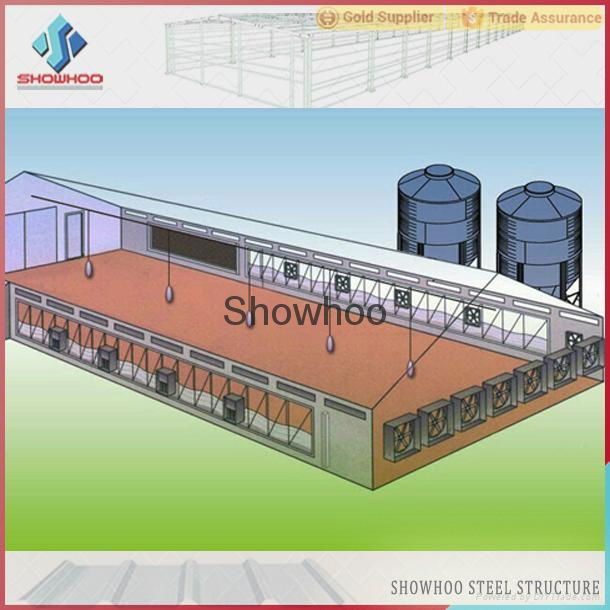 China different types of steel structure poultry house for chicken house 4