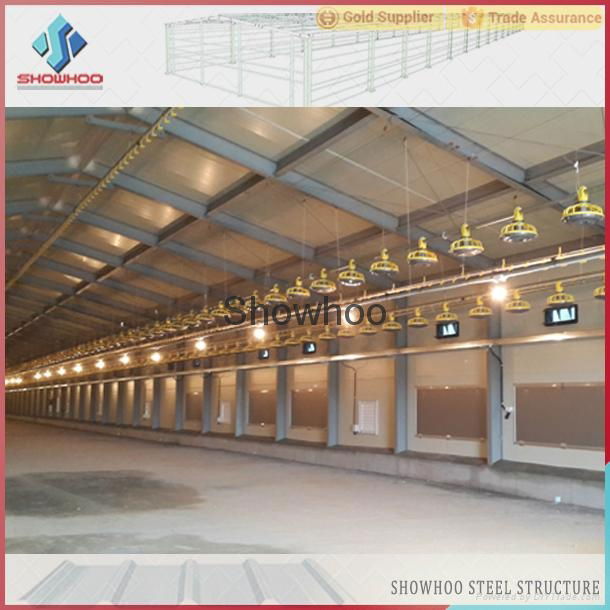 China different types of steel structure poultry house for chicken house 5