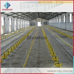 modern steel structure system automatic chicken egg poultry farm