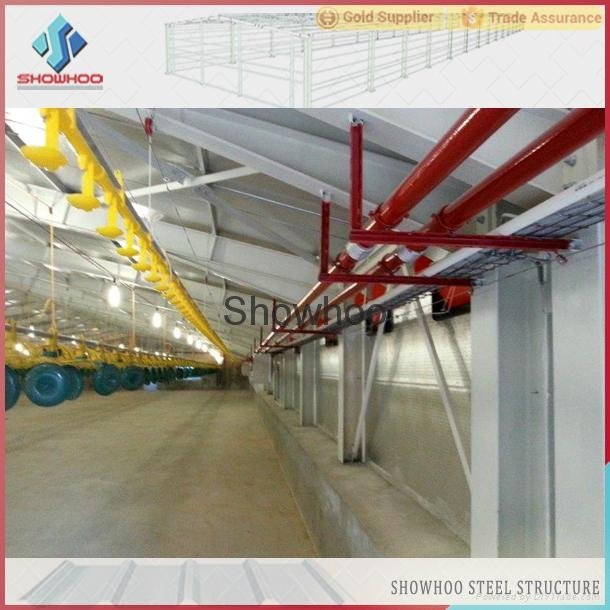 steel structure chicken poultry shed design for chicken farm 5