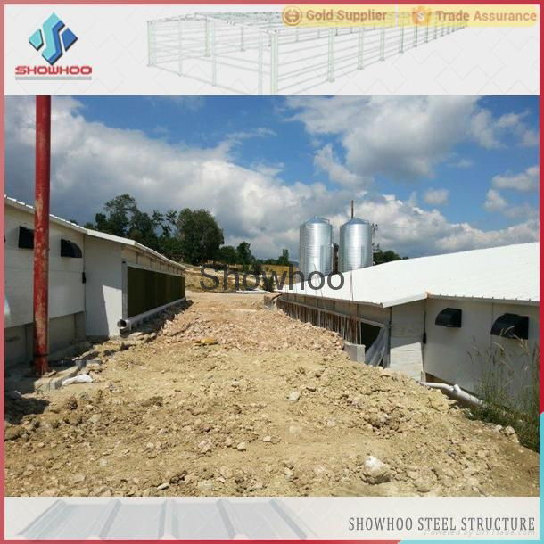 poultry farming building steel structure brolier layer hen houses 3