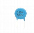 High Voltage Ceramic Disc Capacitors