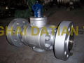 Trunnion Mounted Ball Valve 4