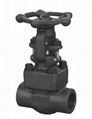 Forged Steel Gate Valve 2