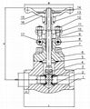 Forged Steel Gate Valve 3