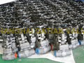 Forged Steel Gate Valve 5