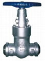 High Pressure/Pressure Seal Gate Valve 2