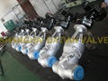 High Pressure/Pressure Seal Gate Valve 3