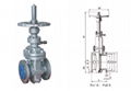 Slab/Flat Gate Valve 2