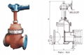 Slab/Flat Gate Valve 4