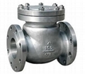 Doube Flanged Swing Type Check Valve 1