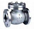 Lift/Piston Check Valve 2