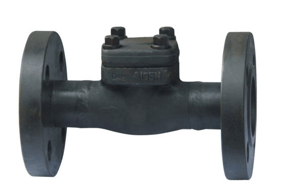 Forged Steel Flanged Threaded Welded Check Valve